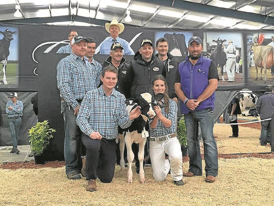 Buying agent Dusty Schirm, US; Global Impact sale manager Declan Patten and Callum Moscript, Sale, Victoria; vendors Alex, Craig and Jared Cochrane, Nowra, and Rocky Allen, Cowra, with handler Jess Mumford, Yarram, Vic.