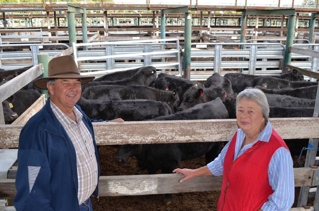 Colin and Joy Baker, "Ker-even", Glen Innes, sold 20 steers to a top of $902 and 13 heifers to a top of $672.