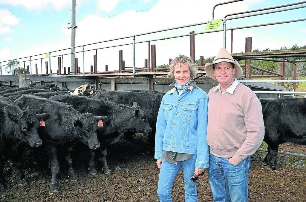Rob and Kelly Lamoureux "Kingsford", Armidale, sold 16 Black Simmental cross Angus steers for 275c/kg at the Walcha weaner sale last Wednesday.