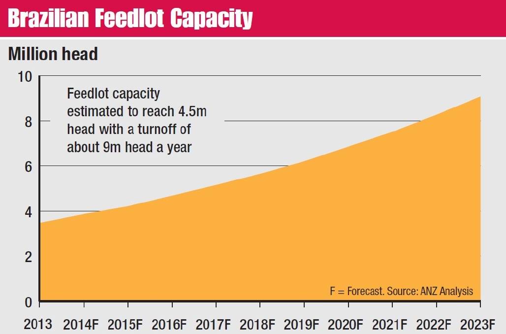 Beefed-up Brazil's feedlot focus