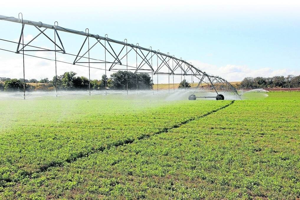 Among the improvements to “Recluse” at Singleton is centre pivot irrigation. In an average year, the property has produced in the vicinity of 45,000 small bales of lucerne. The property has a three kilometre frontage to the Hunter River.