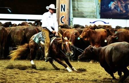 Jason Leitch, Springsure, Queensland, rode Hy On Turps to success in the National Cutting Horse Association Open Futurity in Tamworth in 2014. Photo: www.kaequinephotography.org