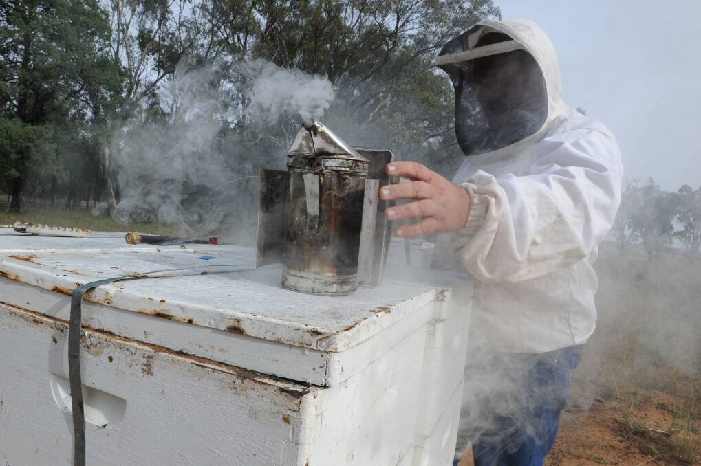 Beekeepers use sites within state forests to access pollen and nectar within forests and on nearby lands and to maintain or rebuild hives over winter. 