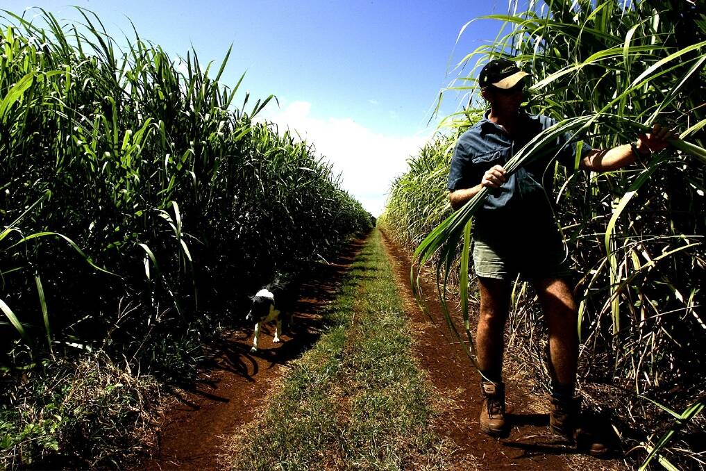 Sour deal for sugar industry
