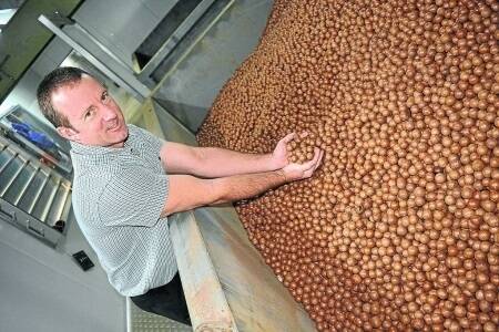 Macadamia Processing Company manager Steven Lee.