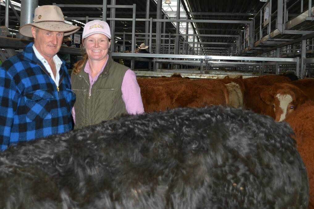 Ian McGaffin "Castledowns" Huon with his daughter Naomi with their pen of 10 Simmental cross steers which sold for $1010.