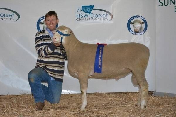 Marshall Douglas, Abelene Park, Woolomin, pictured with the junior champion Poll Dorset ram that went on to be sashed grand champion and supreme exhibit. 