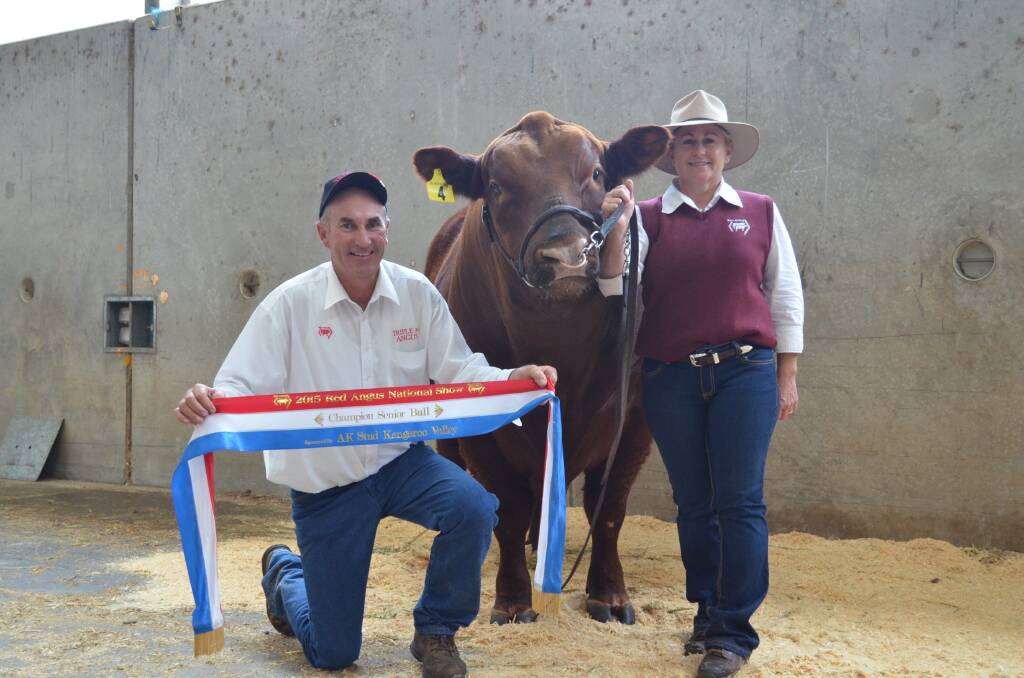 Top price bull was Ruby Red Fat Boy, exhibited by Monique Gapes and Triple M Red Angus, Rukenvale.