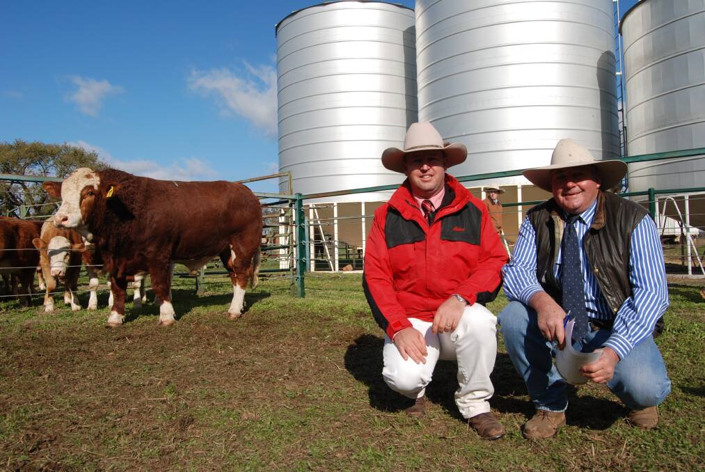 Elders agent Josh Crosby, Dubbo purchased Barana Juryman on behalf of Charleville client Noel Mobbs. He is pictured with Barana Simmental stud principal Peter Cook, Coolah.