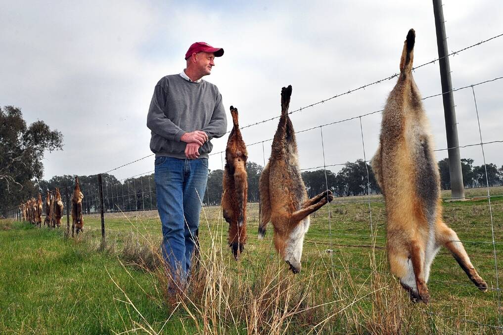 Farmers pay to keep foxes at bay
