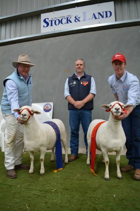 Graham Gilmore, Tattykeel, Oberon holding the champion ewe with Judge, JBS southern livestock manager Steve Chapman, and James Gilmore, who's holding the reserve champion ewe.