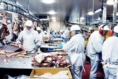 The Bindaree Beef facility at Inverell. Photo: Michele Jedlicka