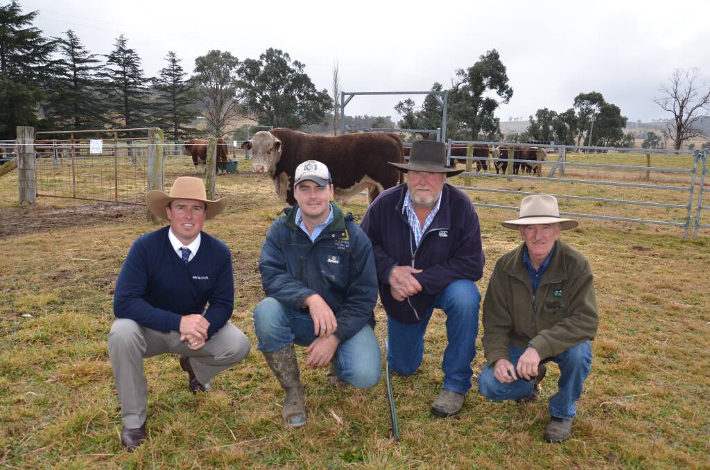 Shad Bailey, Colin Say and Co, Glen Innes; Cameron and Tony Holliss, Lotus Herefords, Pinkett and top-price buyer Phillip Duddy, Pinkett with with the $8000 bull.
