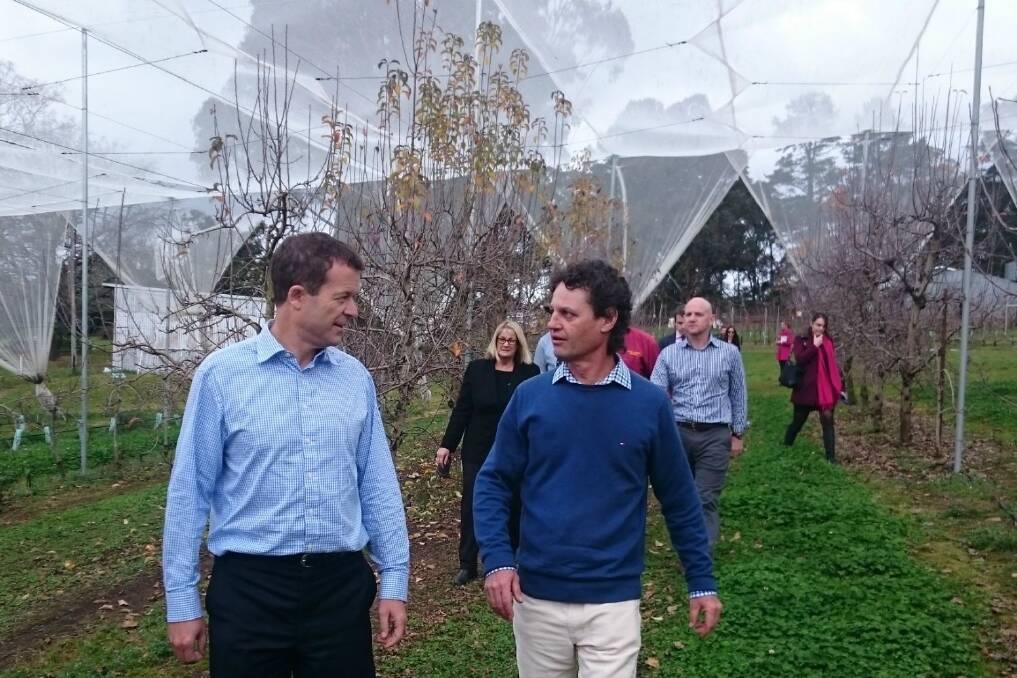 NSW Environment Minister Mark Speakman (left) with NSW Farmers’ horticulture chair Brett Guthrey (right) at the flying fox netting program announcement in Bilpin.
