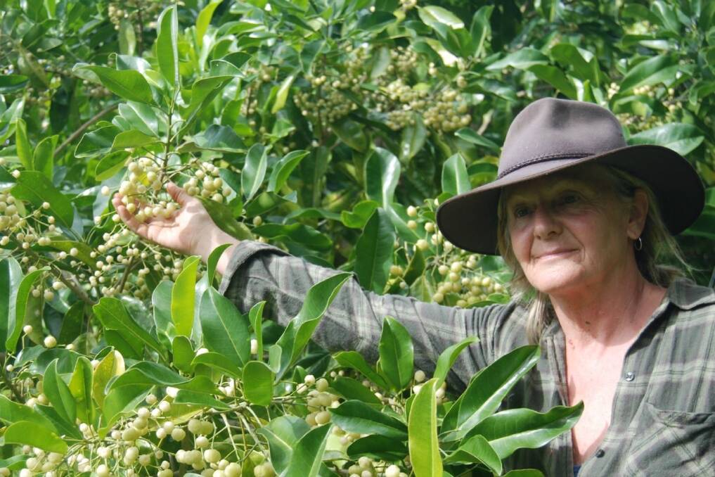 Fingerlime producer Sheryl Rennie sees potential in her emerging export industry.