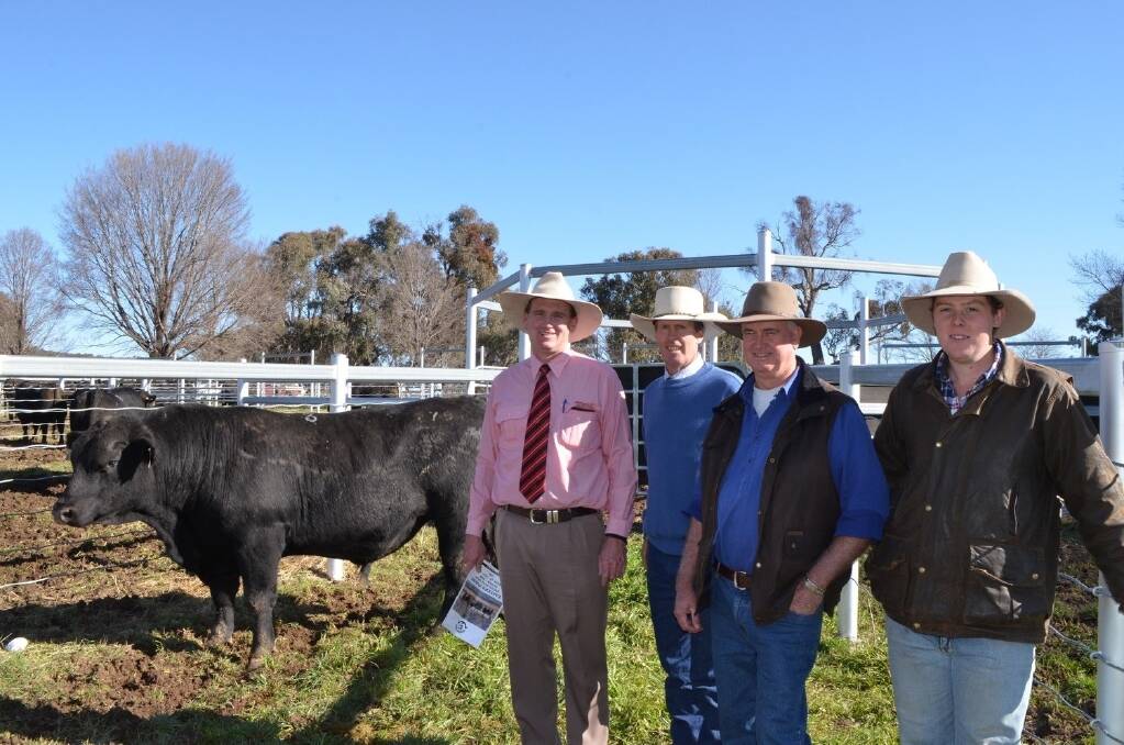 Agent Nick Hall, Elders Walcha, Eastern Plains stud principal Andrew White and buyers David and Mark Carolan, "Lyndhurst", Armidale, with the top-priced bull, Eastern Plains Jewel J39, who sold for $10,000.