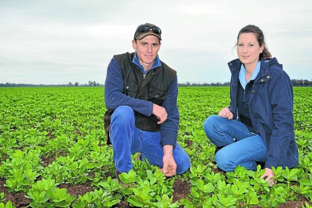Faba bean grower Mark Taylor, "Woodlands", Galore, with agronomist Ellie Readford, Hart Brothers Seeds, Junee.