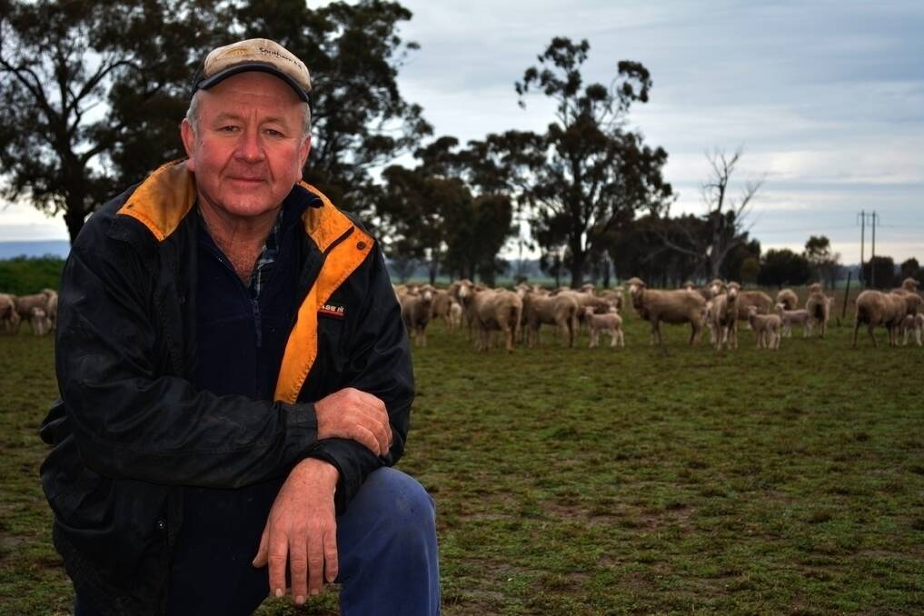 Stuart Sly, Kelenlea Farming Partners, The Rock, pictured with two and three-year-old Merino ewes with July-drop lambs at foot.