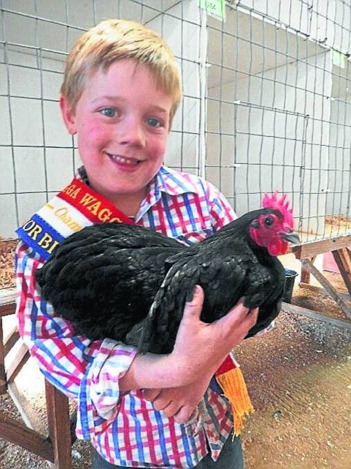 Charlie Hutton, Wagga Wagga, with his Australorp female, which won junior champion bird in show last year at Wagga Show.