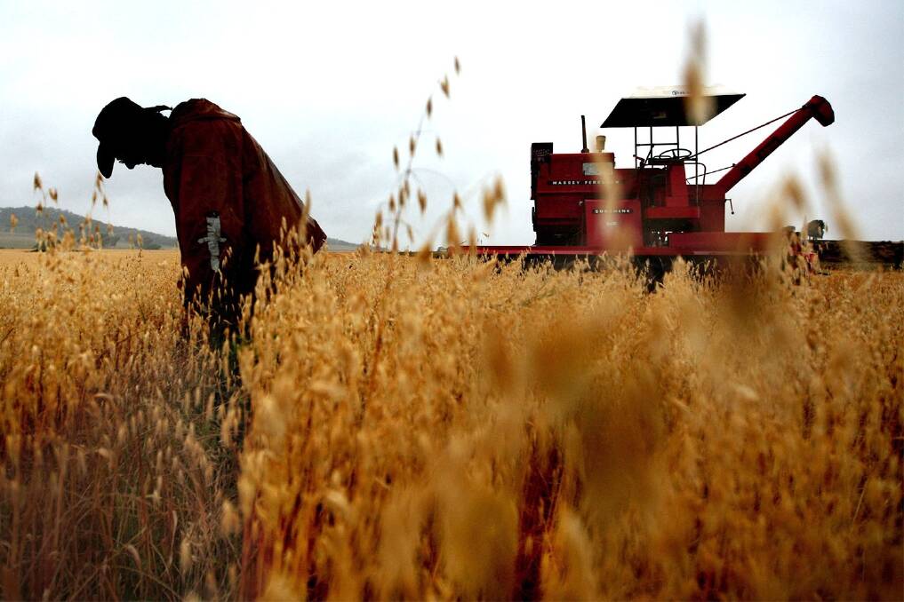 Tight oats market drives prices up to a hefty $400/t