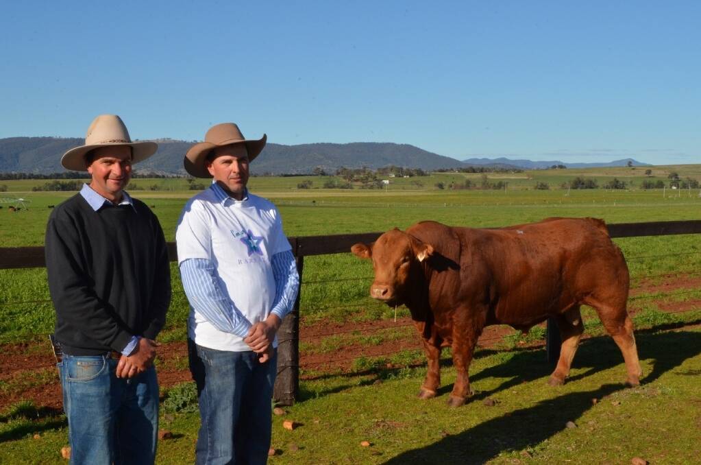 Buyer Stephen Gill, "Alexander Downs", Merriwa, and Manali Limousins stud principal Jim MacCallum with the $10,000 bull.