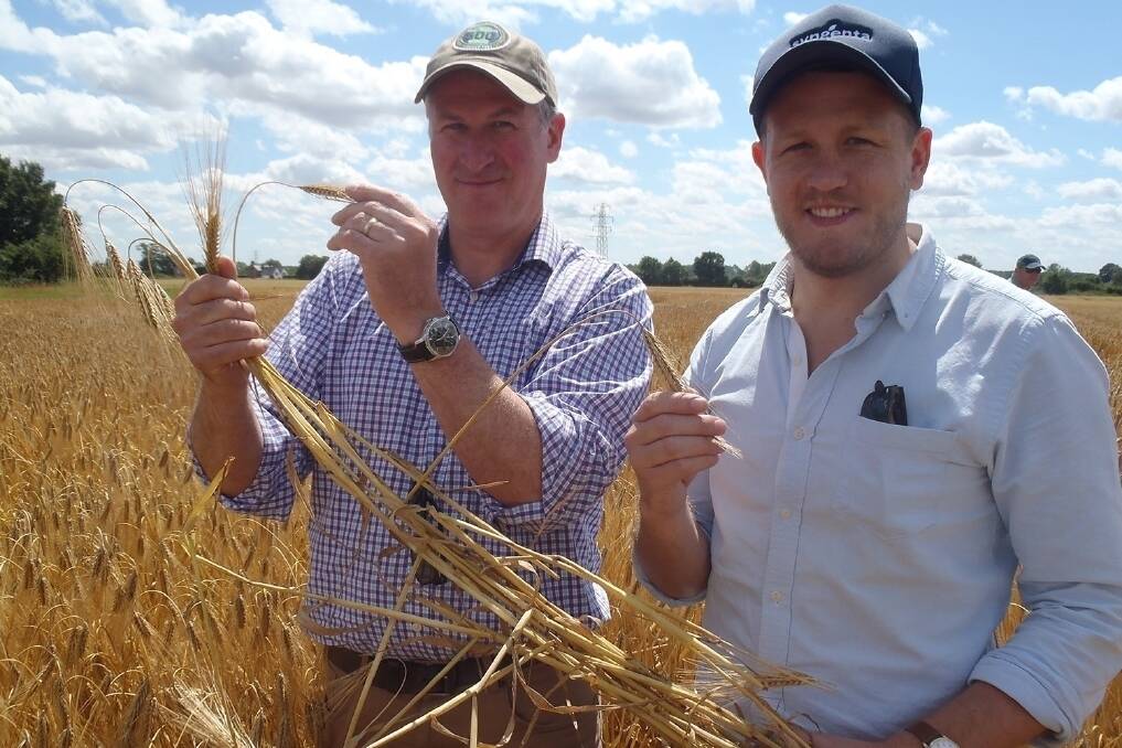 Syngenta's UK technical head, David King in a barley trial crop in Suffolk with Syngenta's Australasian cereal fungicides lead Angus Rutherford.