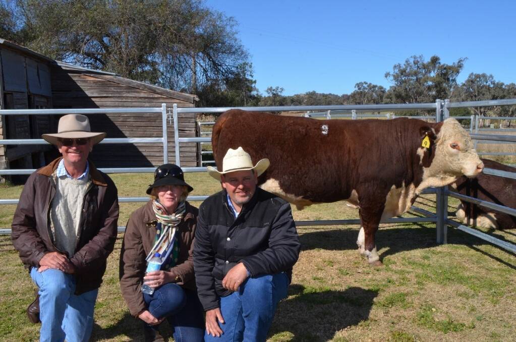Buyers Jeff and Robyn Holcombe, Rayleigh Poll Herefords, Burren Junction, and Mountain Valley Poll Herefords stud principal Ian Durkin with the $22,000 bull.