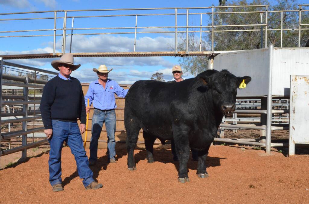 Chris Know, Lonnie Stone and Helen Alenxander, DSK stud, Gunnedah, with the $12,000 sale topper .