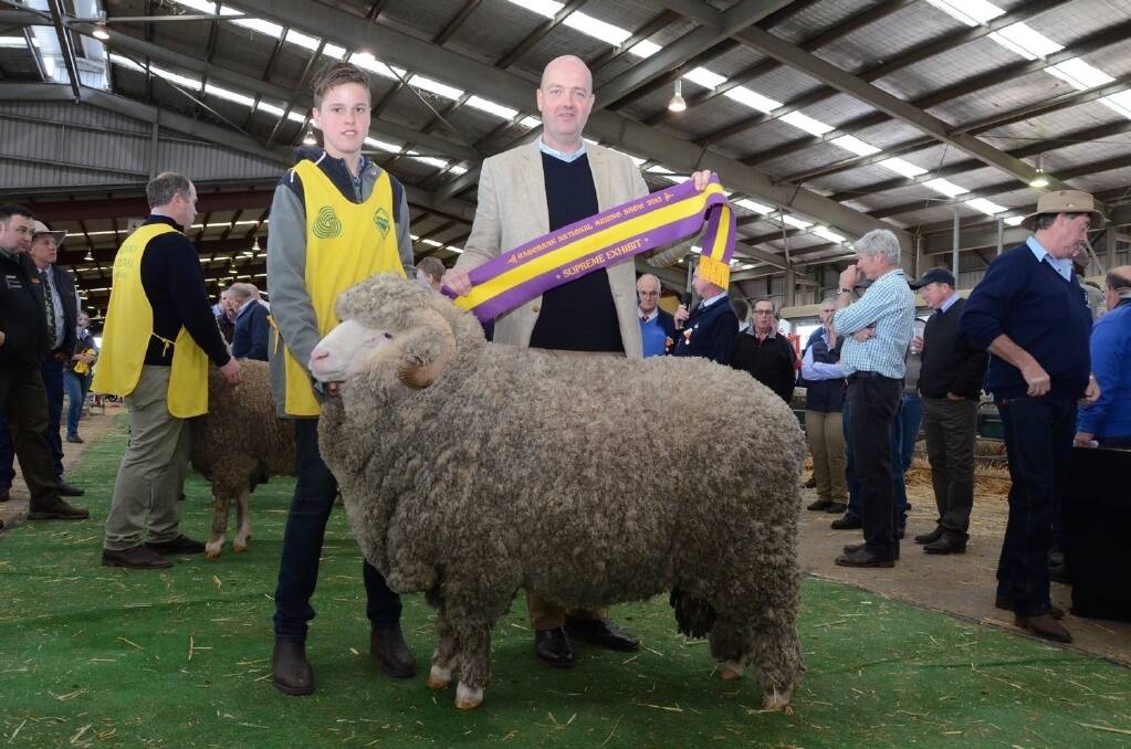 Will MIller holds his supreme exhibit, the grand champion fine wool ram bred by his Glenpaen stud, Southern Wimmera, Victori, while sashed by Rabobank State Manager, TJ Mulder.