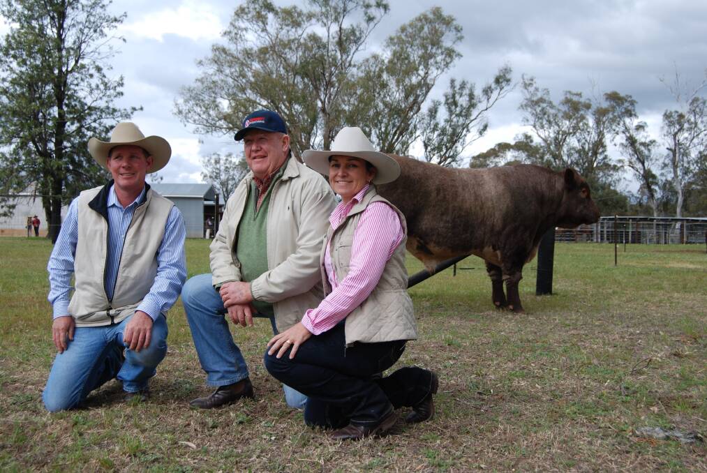 Jason and Kylie Catts, Futurity Shorthorns, Kenebri via Baradine with buyer Bruce Peat, Echuca (centre) and his top price purchase, Futurity Judas J112.