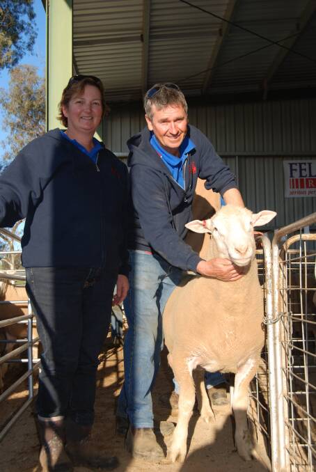 Felix Rams stud principals Liz and Rodney Watt, Greenethorpe with the top prices Poll Dorset ram which sold for $2250 to Boorowa buyer Michael Edwards, "Goba Creek".