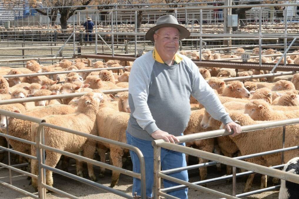 Syd Morris, Valleyfields Partnership, Wongarbon, with his second-cross sucker lambs he sold at Tamworth on Monday.