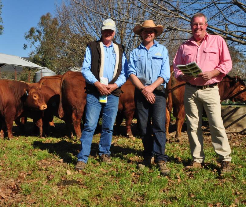 Hicks Beef principals Andrew and Tom Hicks, Holbrook, with Elders Holbrook livestock agent Phil Gledhill, who secured the top priced red composite bull for $10,000 for Robert Woodward, Swan Hill, Victoria.
