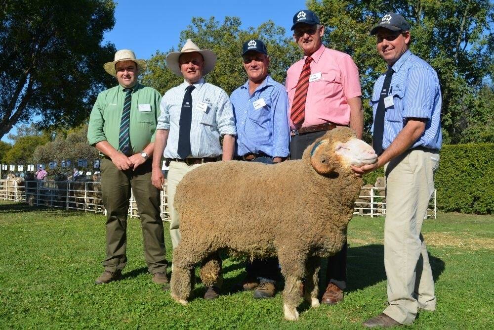 Brad Wilson, Landmark, Dubbo with principal George Falkiner, top price buyer Terry Williams, auctioneer Andy McGeoch and stud manager Andy Maclean, Haddon Rig, Warren holding the top priced Merino ram.