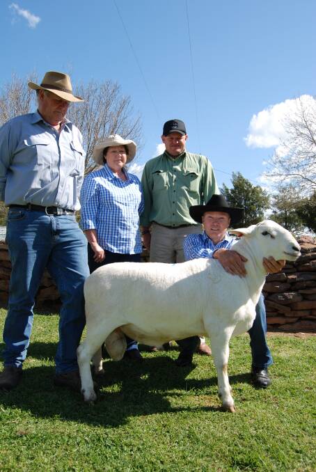 Graham and Vivienne Lander, Landara Australian White stud, Wattle Flat, South Australia purchased the top price Highveld ram for $6600. They are pictured with Landmark auctioneer John Settree, Dubbo and Pierre Bouwer, Highveld, Mendooran.