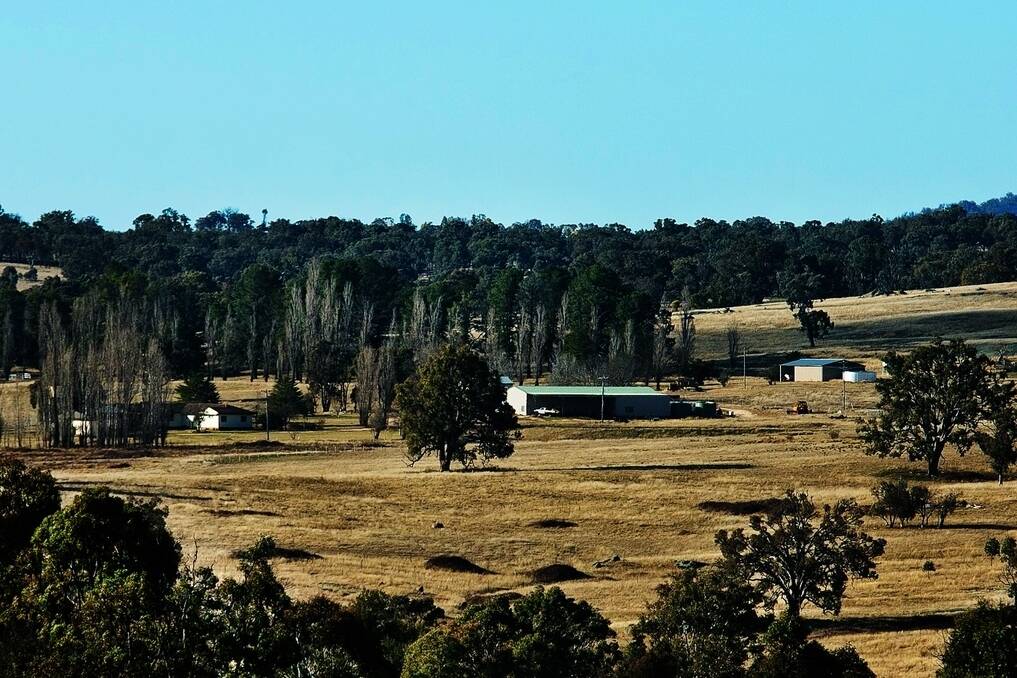 “Brushgrove”, west of Uralla, has an estimated carrying of about 800 breeding cows or 12,000 DSE.