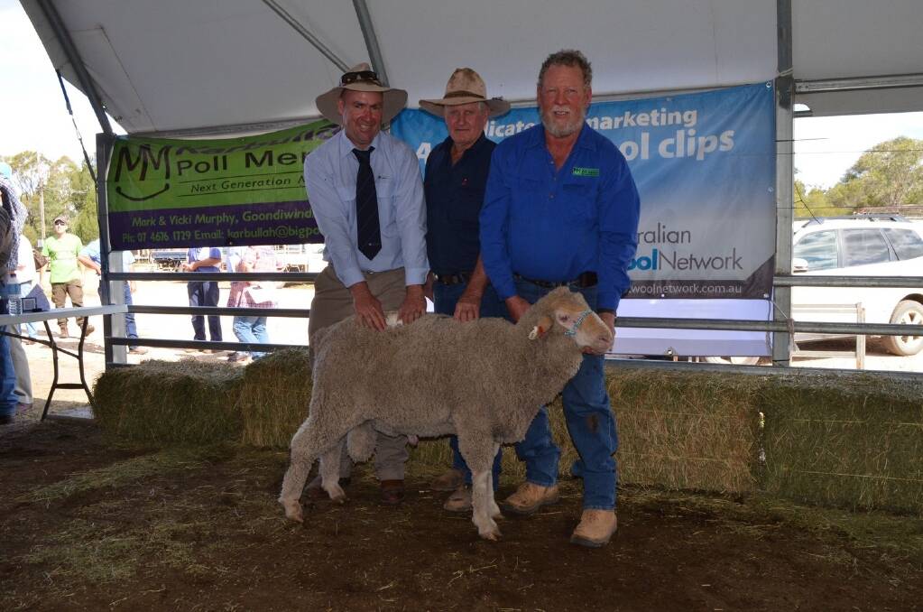 Agent Steve Maunder, Australian Wool Network, St George, buyer Bill Beatty, "Currawong", Mungindi, and stud principal Mark Murphy with the top-priced ram.
