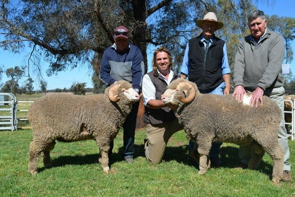 Rob Agnew, “Ardna Cross” , Peak Hill, holding one of the top rams, with co-principal Steve Lindsay, Cora Lynn holding the equal top priced ram with classer Allan Clarke, Dubbo and Garry Carney, “Eulalie North”, Wellington. 