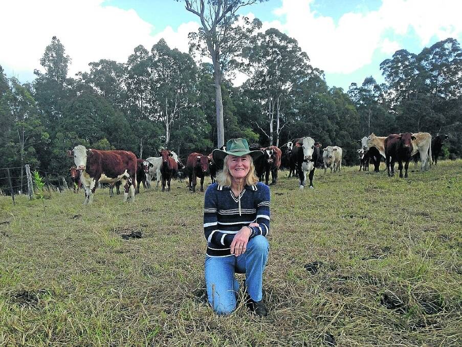 Beef producer Susan Somerville, "Creek's Bend", Toonumbar, west of Kyogle, has had to create a number of novel methods to control weeds to protect the profitiablity of her beef operation.