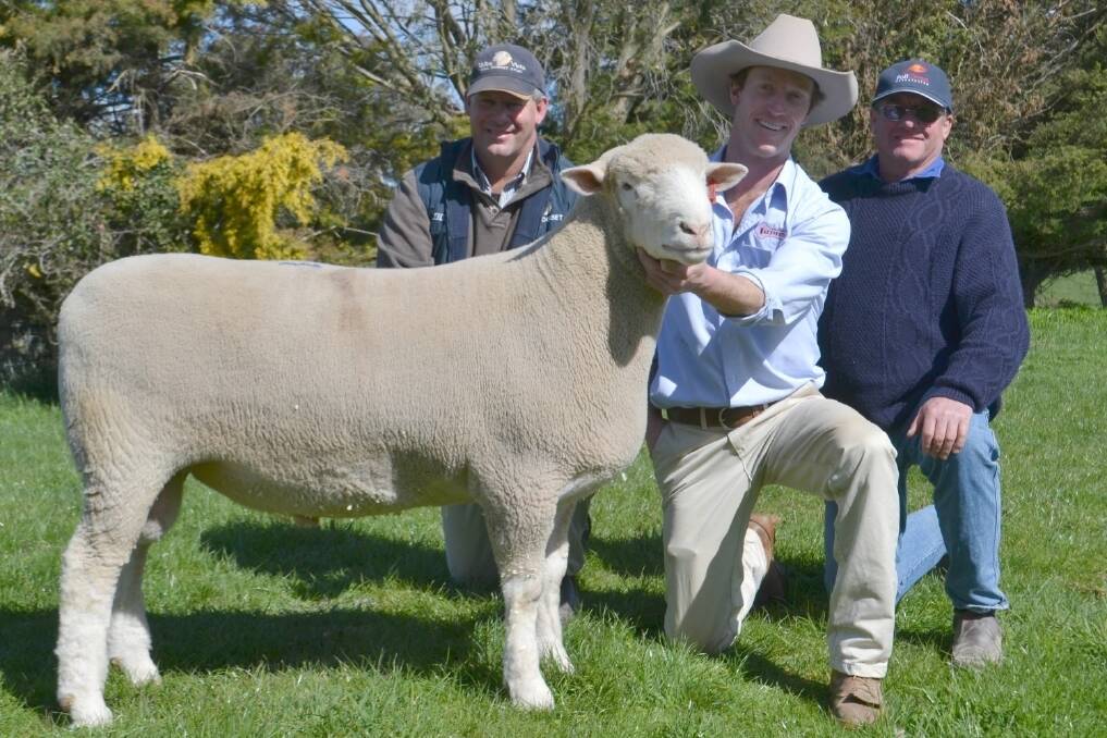 Top-priced buyers Andrew Scott, Valley Vista Poll Dorsets, Coolac, and Brian Frost, Hillden Poll Dorset stud, Crookwell, pictured with Tattykeel's James Gilmore (centre).
