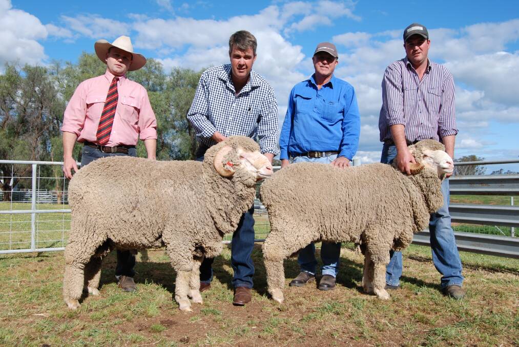The $12,000 top price ram (right) and the $9500 bridesmaid at the Langdene Merino on-property sale. L-R: Jason Pearce, Elders, Mudgee; Garry Cox, Langdene stud, Dunedoo; Peter and son Doug Freeth, Glenburn Holdings, Collie.
