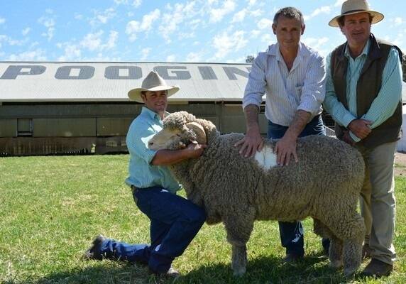 Pooginook assistant manager Sean Carroll and manager John Sutherland, pictured with top buyer Tony Inder (middle), Allendale Merino stud, Wellington, and Pooginook Nick, who sold for $25,500. 
