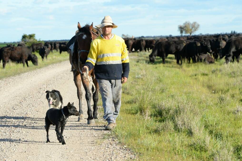 Back off: Graziers fear stock route closures