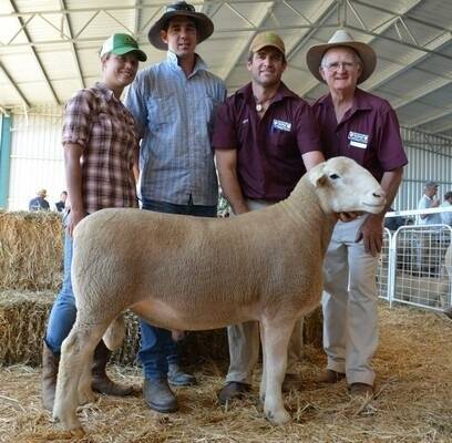 Buyers Krystal Sheridan and Ben Edyvean, Pambria White Suffolk and Poll Dorset Stud, Wagga Wagga, pictured with Scott and Doug Mitchell, Rene stud, Culcairn, and the top priced ram that was secured for $4250. 