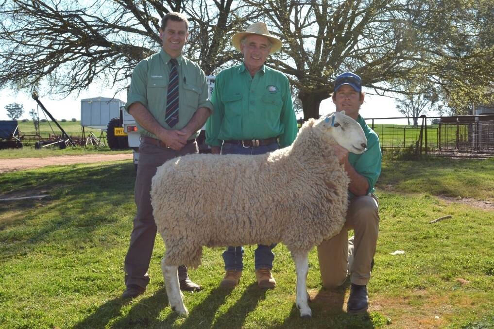 Landmark Boorowa agent Rick Power pictured with Michael and Tom Corkhill and their top priced ram that sold to Peter and Jane Lette, Jacaromo Borders, Berridale via Cooma.