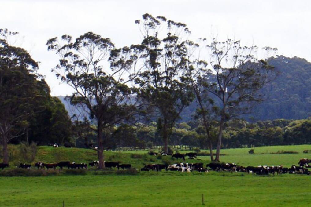 The 25 farms of Van Diemen's Land Company in Tasmania make up Australia's oldest and largest dairy operation.
