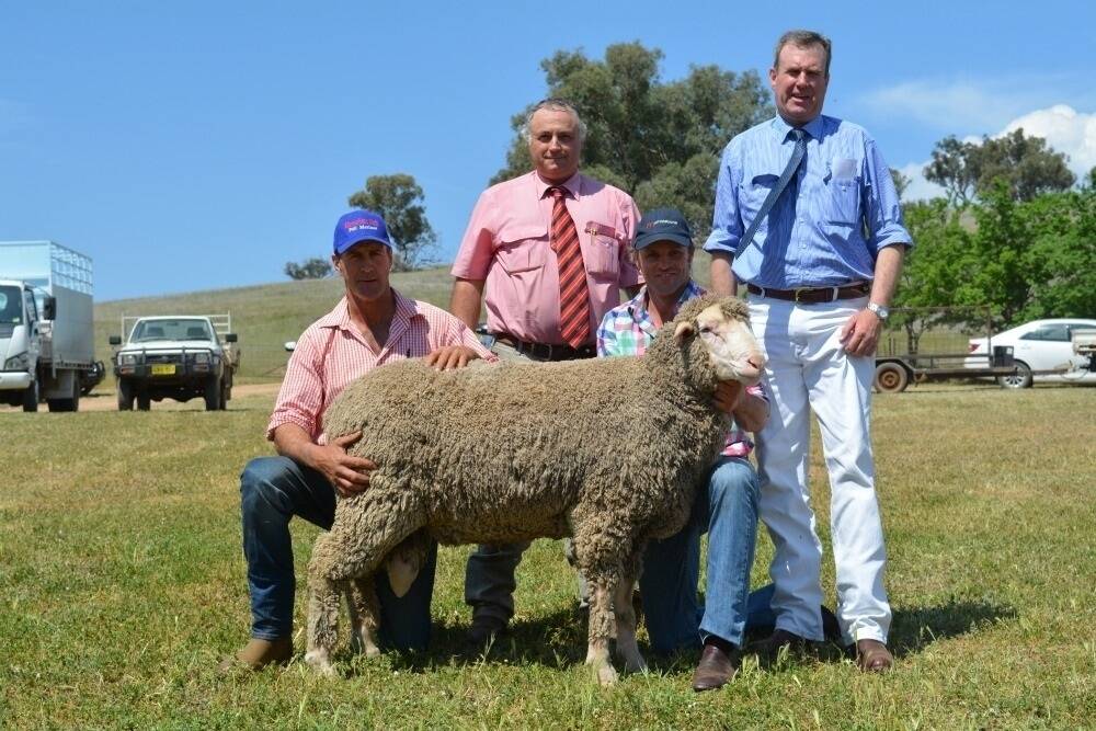  Jim McLaughlin, Merryanbone North Poll Merinos purchased the top price ram for $7500, co-principal Chad Taylor is holding the top ram with Scott Thrift, Elders and Paul Dooley, Tamworth. 