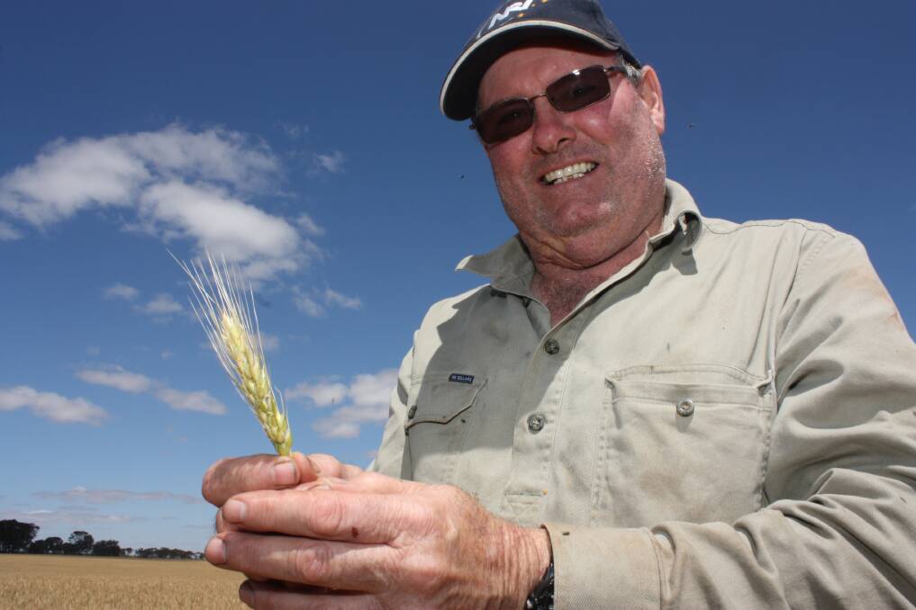 Harrismith grower David Quartermire inspects his crop as he prepares for harvest in the coming week or so.