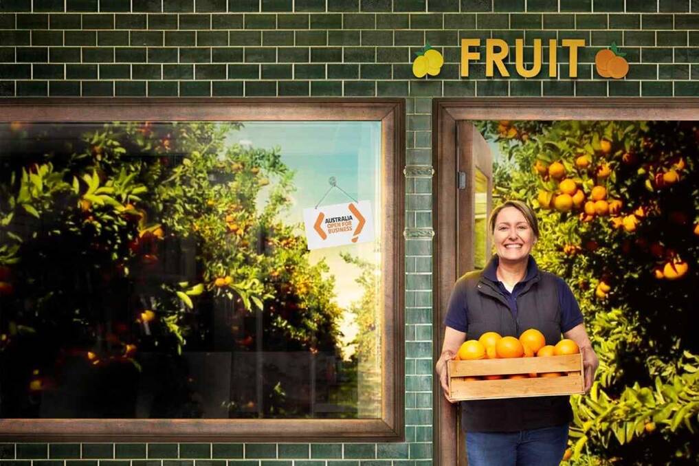 An image from the national Open for Business advertising campaign promoting Free Trade Agreements, featuring Citrus Australia chair Tania Chapman, Colignan Park, Mildura, Victoria. 