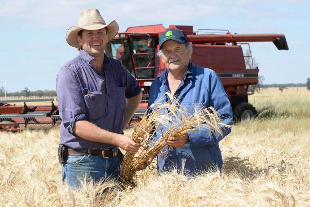 Western NSW growers Damien and Steve Doyle are looking forward to harvest despite the dry spring.